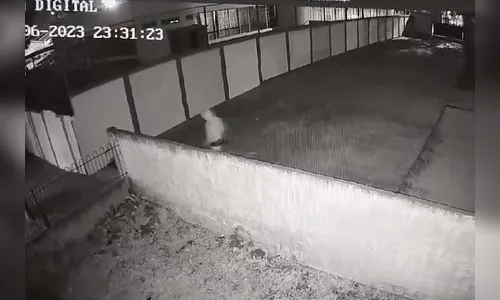 Jovem é preso suspeito de praticar 20 arrombamentos em creches do PR