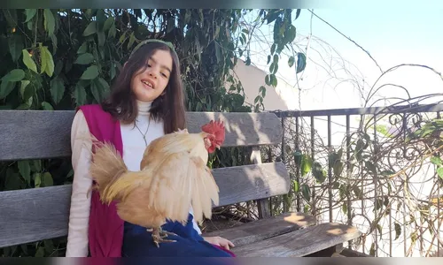 Família vira vegetariana após filha adotar galo em Apucarana; veja