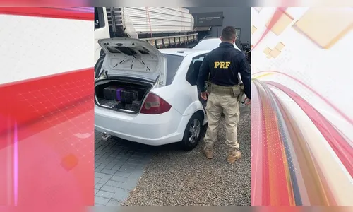 PRF apreende mais de 435 quilos de maconha na BR-369