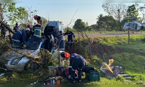 Motorista morre após veículo bater contra árvore no Paraná
