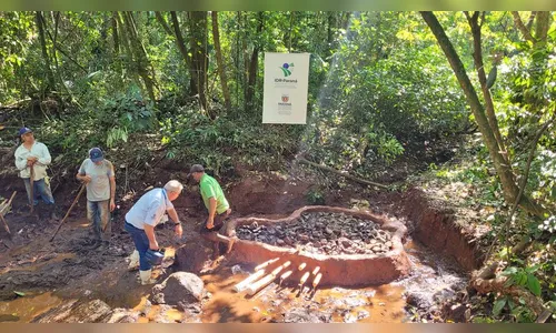 No Dia da Árvore, Apucarana recupera nascente do Rio Pirapó