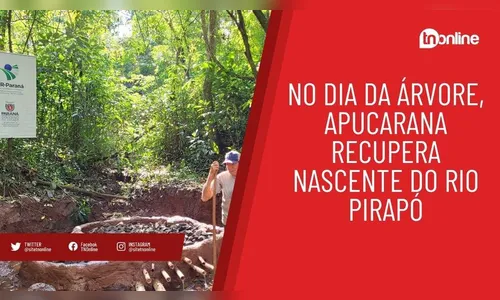 No Dia da Árvore, Apucarana recupera nascente do Rio Pirapó