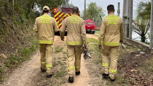 O Corpo de Bombeiros foi acionado