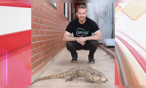 Lagarto que 'morava sozinho' após morte de tutores é resgatado no PR