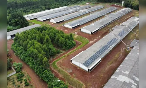 BRDE financiou R$ 1,2 bilhão em projetos de energia limpa  desde 2019