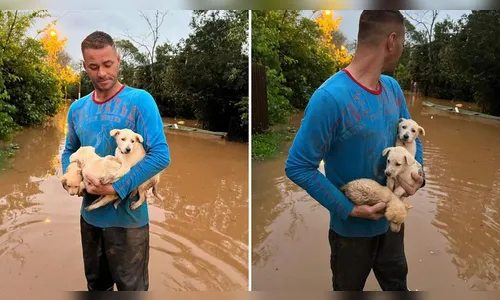 Homem salva filhotes de enchente e diz: 'Bicho é que nem um filho'