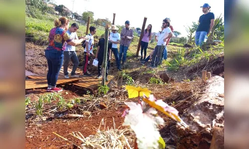 Apucarana rearboriza entorno de nascente no “Dom Romeu”