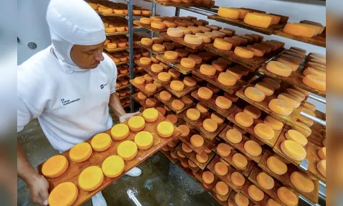 Paraná é referência nacional em produtos com indicação geográfica