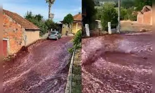 'Rio' de vinho inunda ruas de cidade após depósito estourar; vídeo