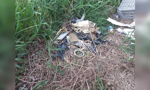 Objetos furtados de túmulos em Apucarana serão devolvidos às famílias