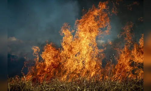 IA desenvolvida no PR identifica focos de incêndio com antecedência