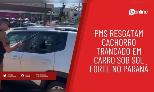 PMs resgatam cachorro trancado em carro sob sol forte no Paraná