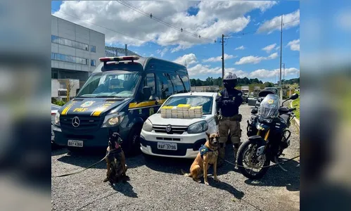 PRF apreende 40 quilos de cocaína dentro de painel de carro no Paraná