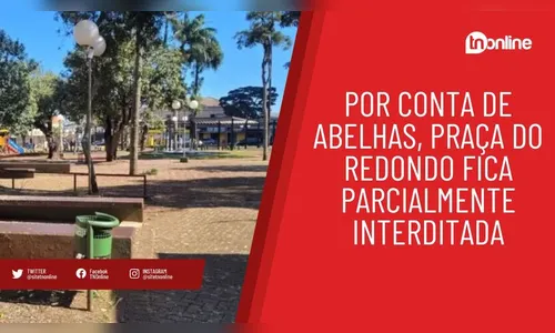Por conta de abelhas, Praça do Redondo fica parcialmente interditada