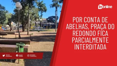 Por conta de abelhas, Praça do Redondo fica parcialmente interditada