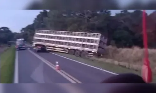 Acidente entre caminhão e carro deixa duas pessoas mortas em Palmeira