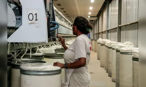 Apucarana anuncia mutirão de emprego para pessoas com mais de 50 anos