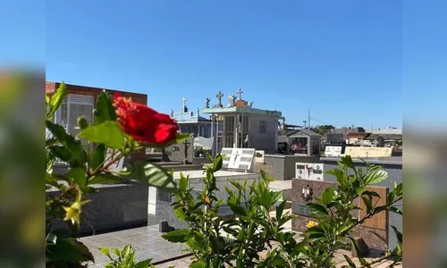 Confira a lista de sepultamentos deste domingo em Apucarana