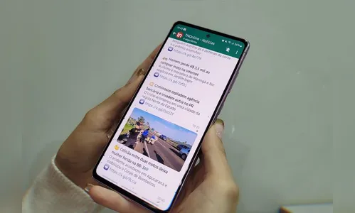 Canal do TNOnline no WhatsApp: saiba como entrar e se manter informado
