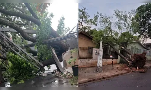 Temporal causa destruição em Maringá; veja fotos e vídeos