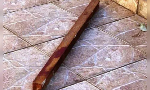 Homem é morto a pauladas após ameaçar a própria irmã e sobrinhos