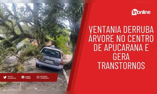 Ventania derruba árvore no centro de Apucarana e gera transtornos