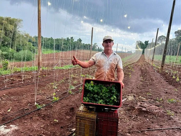 Daniel de Oliveira decidiu apostar no cultivo de lúpulo