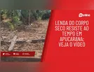 Lenda do Corpo Seco resiste ao tempo em Apucarana; veja o vídeo