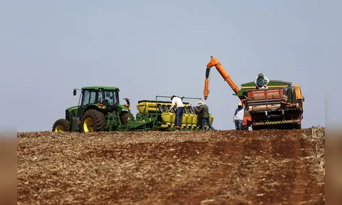 Produtores do PR retomam plantio e avaliam impactos após as chuvas
