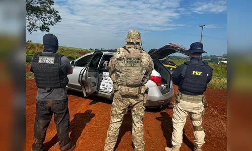 Operação apreende mais de 16 toneladas de drogas e prende 28 pessoas