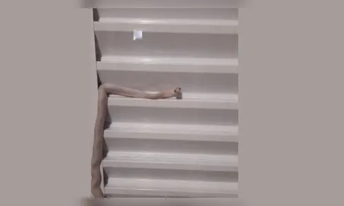 Moradora de Maringá encontra cobra albina no quarto do filho; vídeo