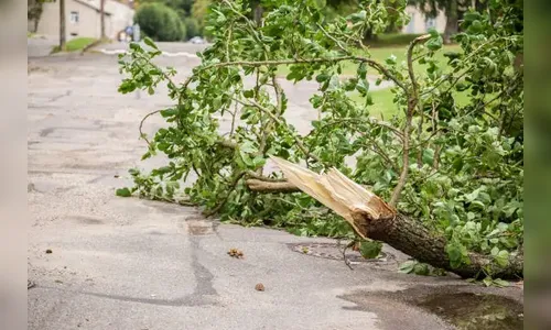 Empresa responsável por reforma da Câmara é multada em quase R$ 30 mil