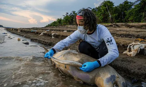 A estiagem causa efeitos em praticamente todo o Amazonas.