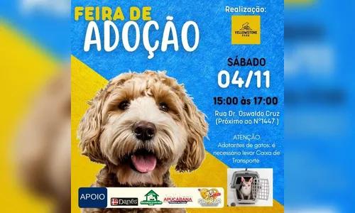 Feira de adoção acontece em Apucarana neste sábado; confira