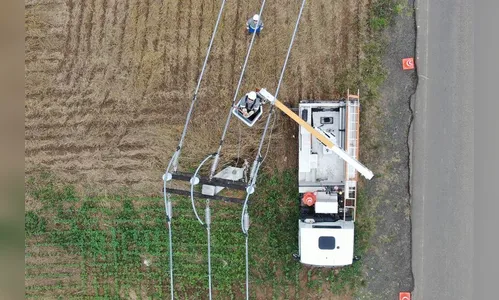Com 14,5 mil km de redes, Paraná Trifásico chega a 87% dos municípios