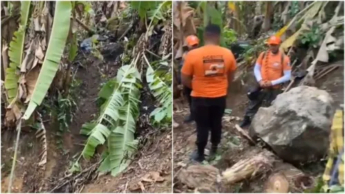 A vítima trabalhava em sua produção de banana