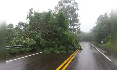DER-PR informa a situação das rodovias estaduais nesta sexta-feira (3)