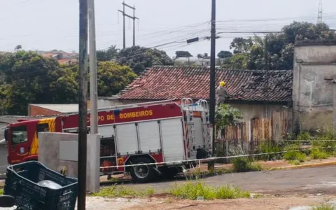 Bombeiros foram chamados no Parque Bela Vista