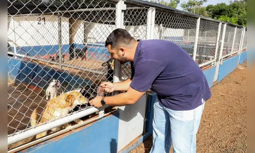 Apucarana anuncia melhorias para o centro de saúde animal