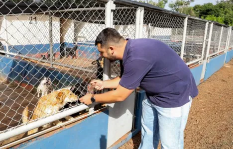 Centro Municipal de Saúde Animal