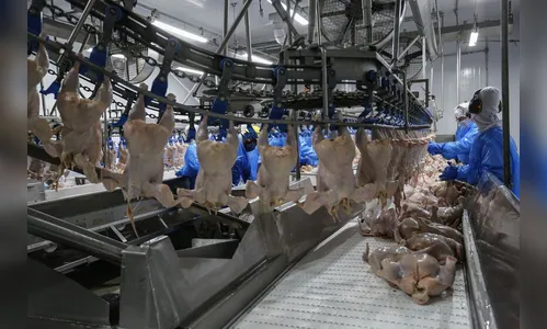 Cooperativas doam 8 toneladas de frango para afetados pelas chuvas