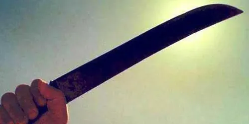 De acordo com relatório da Polícia Militar (PM), o adolescente teria danificado móveis e objetos da casa e em um dado momento ameaçou sua própria mãe enquanto estava com um facão em mãos.