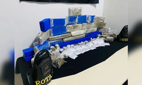 Rotam apreende 20 kg de maconha em Apucarana; veja
