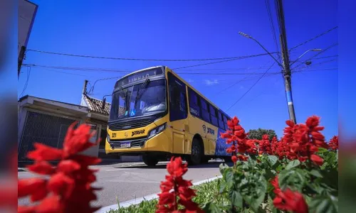 Cidade do Paraná cobra apenas R$ 1 em passagem de ônibus; saiba qual