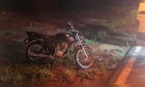 Cavalo invade rodovia e é atropelado por motociclista na PR-466