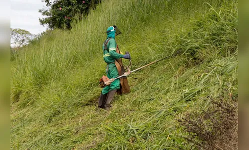 Apucarana inicia nova etapa de roçagem na próxima semana