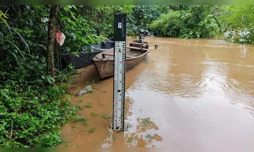 Rio Ivaí sobe mais de 6 metros e coloca comunidades em alerta; veja
