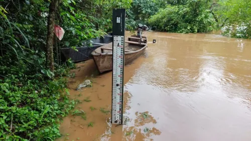 Nível do rio começou a subir no domingo