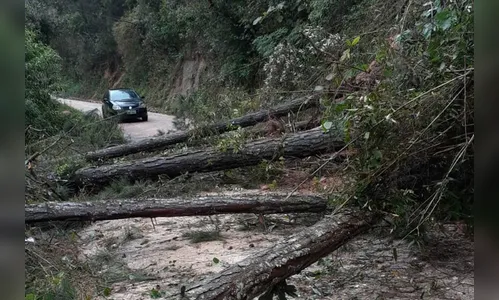 DER-PR divulga novos trechos de estradas afetados pelas chuvas