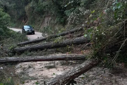 O DER/PR permanece monitorando os locais.